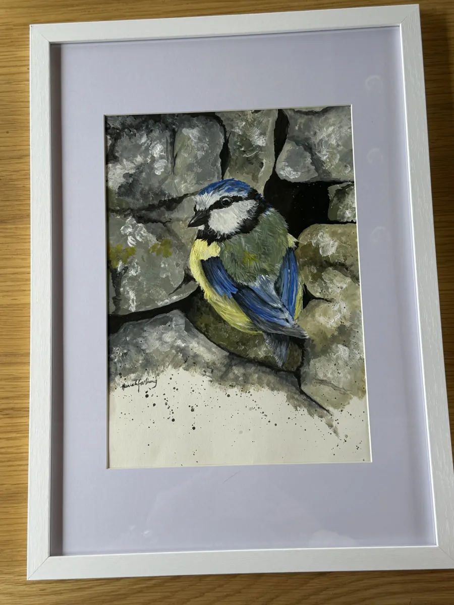 Bluey: acrylic painting of a blue tit perched on a dry stone wall, mounted in a white frame.