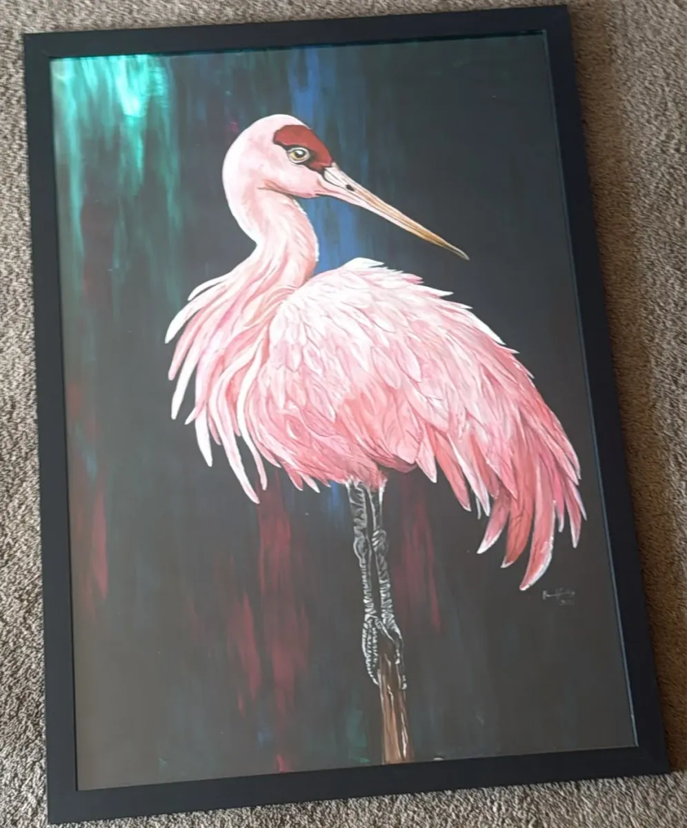 Pink Heron: acrylic painting of a pink wading bird with ruffled feathers against a dark background, in a black frame.