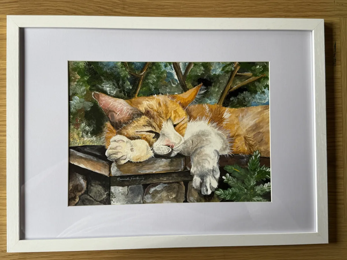 Thistle: acrylic painting of a ginger and white cat asleep on a garden wall, mounted in a white frame.