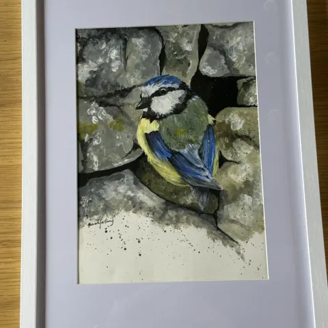 Bluey: acrylic painting of a blue tit perched on a dry stone wall, mounted in a white frame.