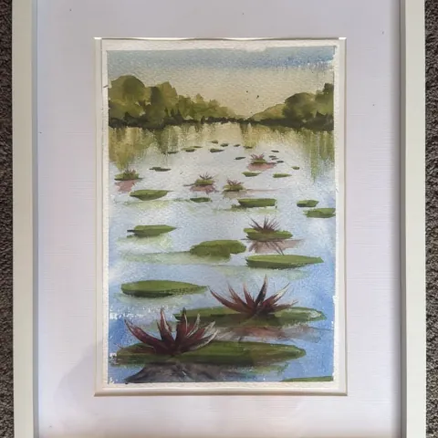 Lilies: watercolour of water lilies on a calm lake with trees reflected, mounted in a white frame.