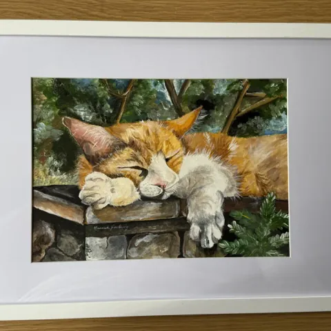Thistle: acrylic painting of a ginger and white cat asleep on a garden wall, mounted in a white frame.